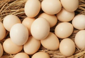 Nằm mơ thấy trứng gà đánh đề con gì, số mấy ?