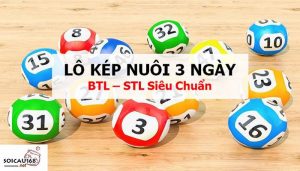 Lô kép nuôi khung 3 ngày